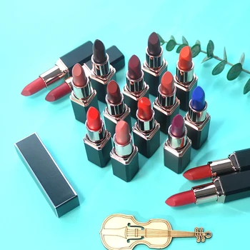 16 Цветов Высококачественной матовой квадратной губной помады Private Label Easy Color Стойкие увлажняющие помады