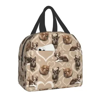 Милая изолированная сумка для ланча с рисунком щенка чихуахуа для женщин, любителей собак, Портативный кулер, термальная коробка для Бэнто, для кемпинга и путешествий