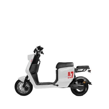 48v120ah Взрослые Электрические Мотоциклы Портативная Литиевая Батарея Мопед Скутер Выносливость Около 300 километров Бытовой